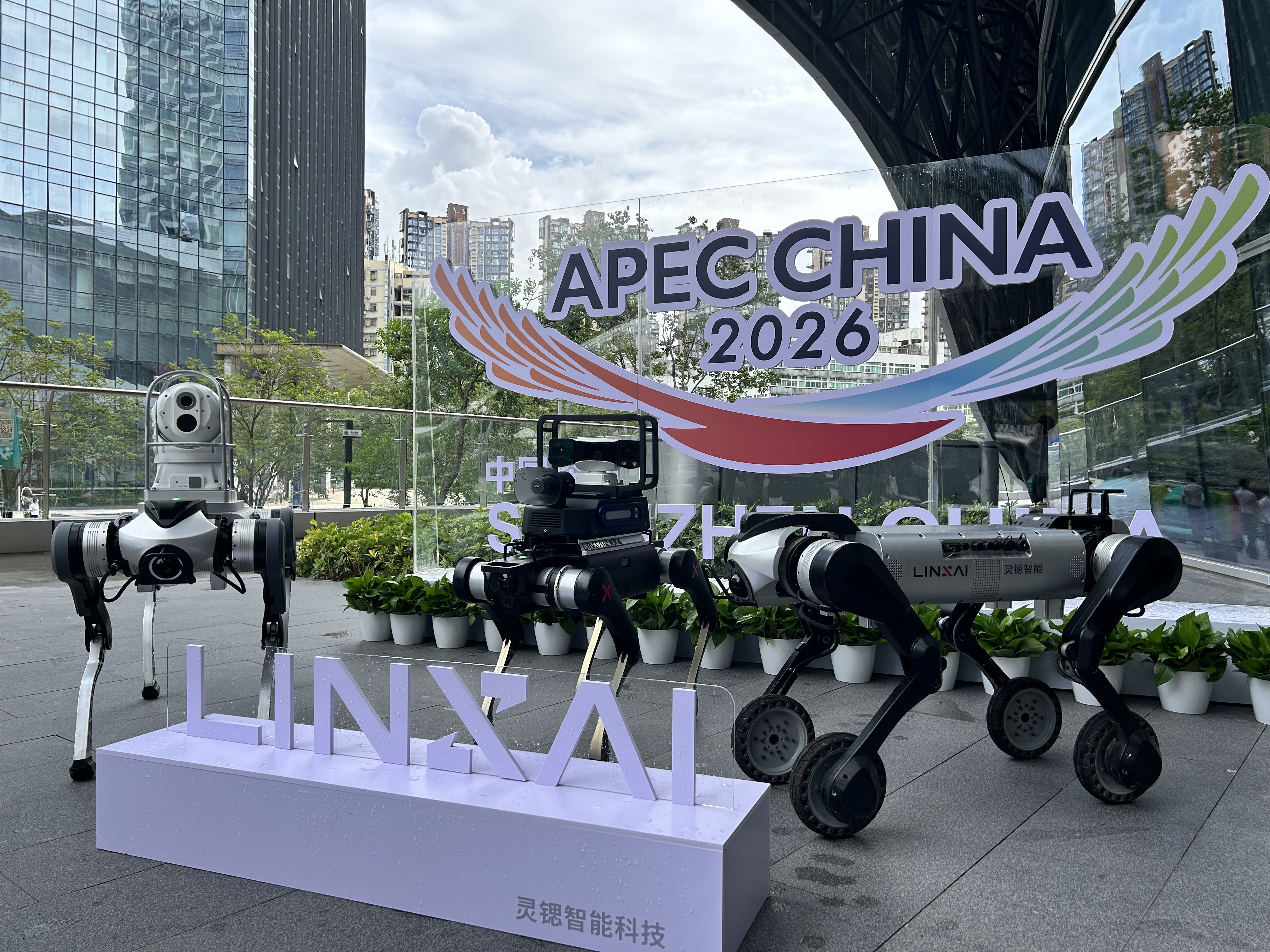 以科技筑牢森林韧性|灵锶机器狗亮相深圳APEC智慧林业会场